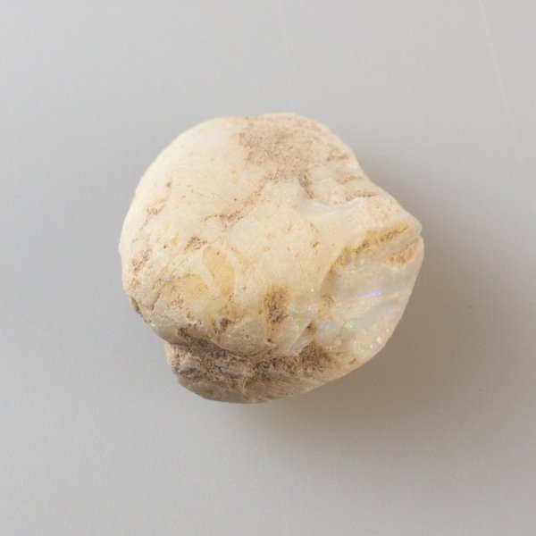Opalized shell, Australia | 2,4 x 2,1 x 1,5 cm, 8 gr