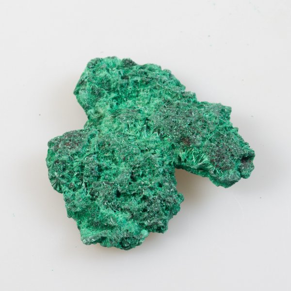 Fibrous (Velvet)  Malachite, Africa | 5,5 x 5,5 x 0,7 cm, 30 gr