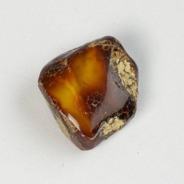 Baltic Amber S - Rough + polished