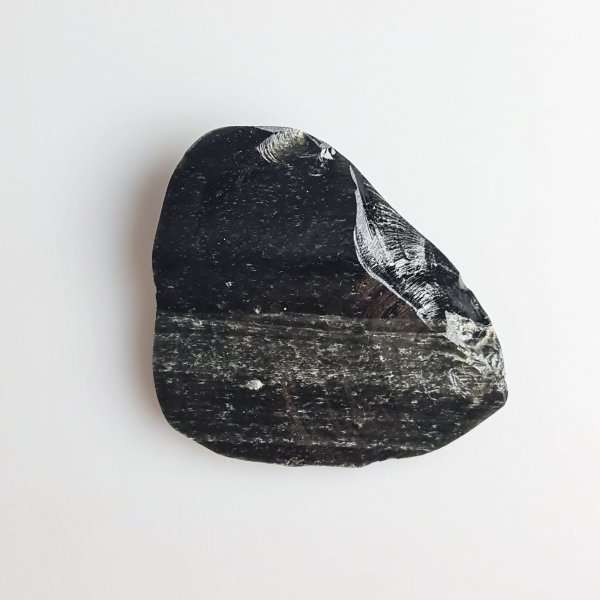 Rough Black Obsidian | 2-4 cm