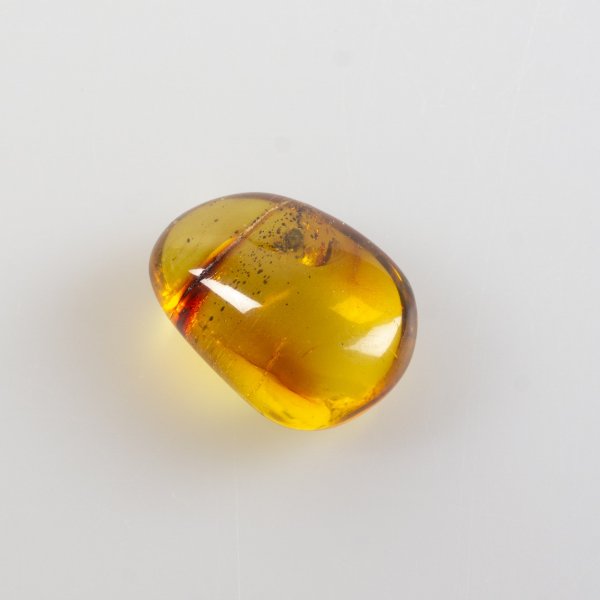Amber with insect fossil | 2,5 x 2 x 1,3 cm, 3,9 g