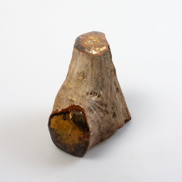 Trunk Fossil wood, semi-polished | 9,1 x 5,5 x 8,7 cm, 0,724 kg