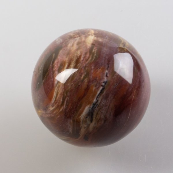 Fossil wood Sphere | 6,1 cm