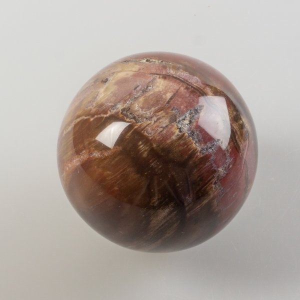 Fossil wood Sphere | 7 cm