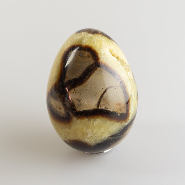 Septarian Egg | 6 - 7 cm