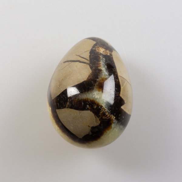 Septarian Egg | 6 x 4,3 cm 0,180 kg