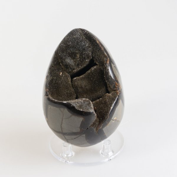 Black Septarian Egg | 9,5 x 6,5 cm, 0,652 kg