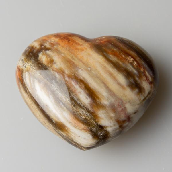 Fossil Wood Heart 6,2X5,3X2,6 cm 0,115 kg