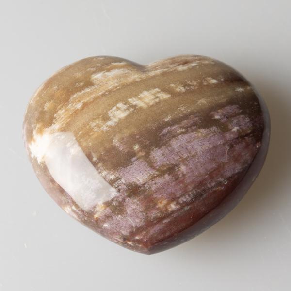 Fossil Wood Heart 6,2X5,3X2,6 cm 0,120 kg