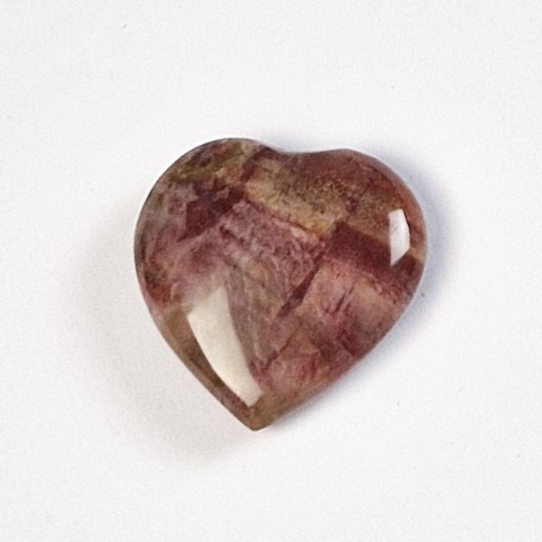 Petrified wood Heart | 2,5 - 3 cm