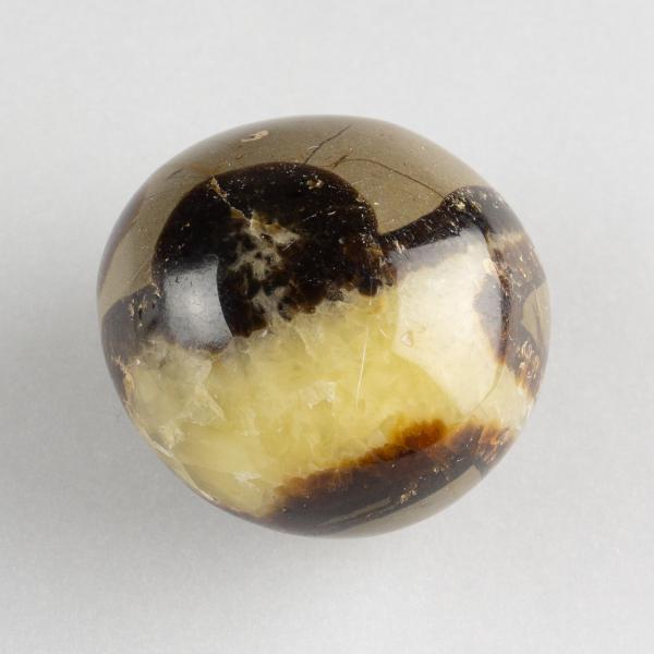 Palmstone (Pebble) Septarian | 4 - 4,5 cm