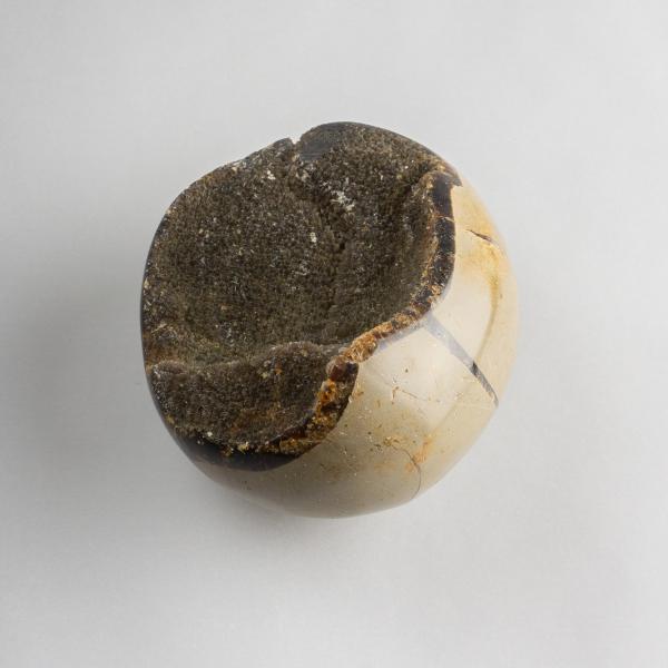 Palmstone (Pebble) Black Septaria | 6 - 6,5 cm