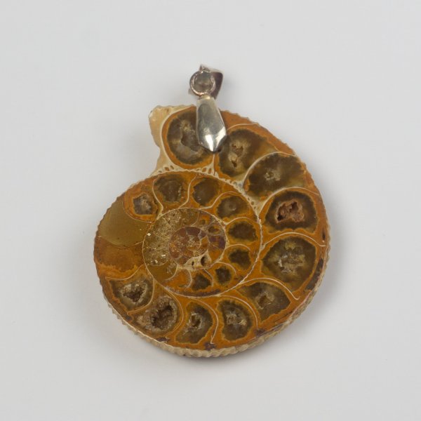 Pendant with Ammonite | stone 3x3 cm