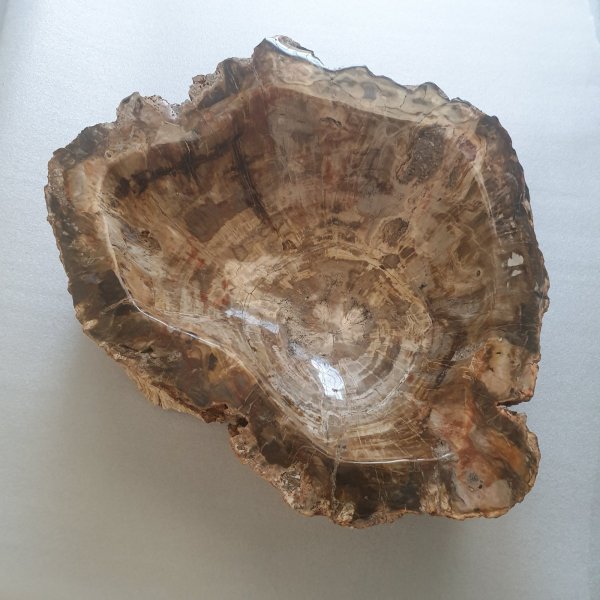 Fossil wood sink
