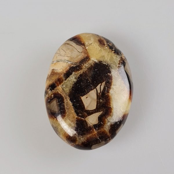 Palmstone Septarian | 6 cm